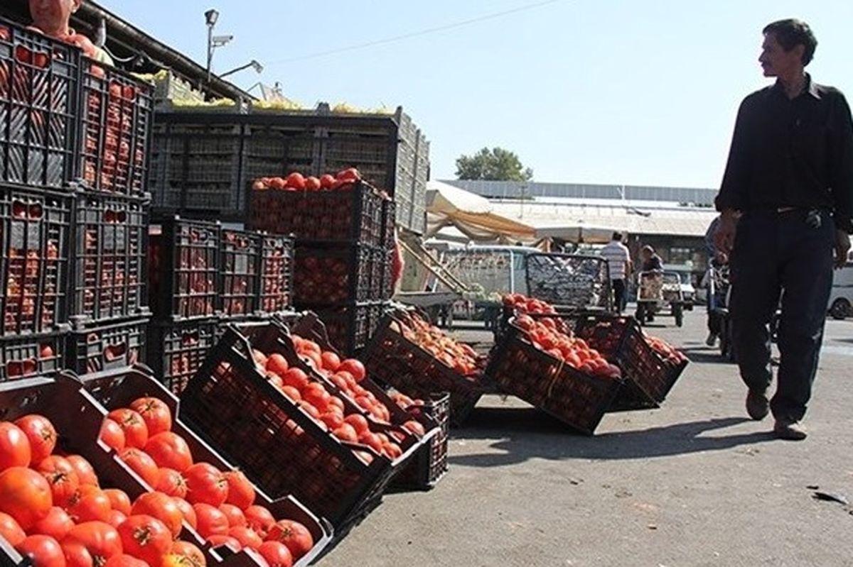 گمرک: صادرات پیاز و گوجه‌فرنگی به زودی محدود می‌شود