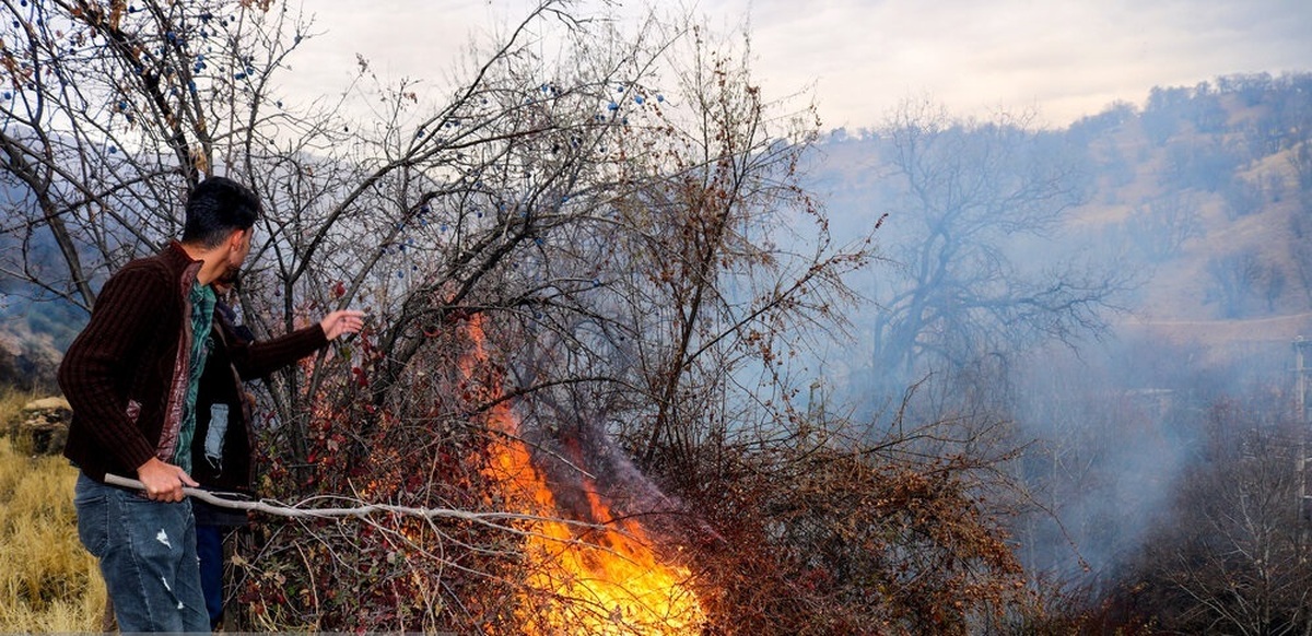تصاویر| آتش سوزی ۶ هکتار از باغات روستای تنگ سریز بویراحمد
