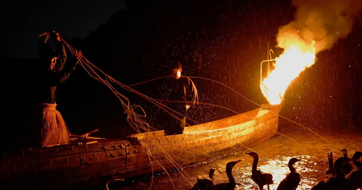 تصاویر| هنر رو به مرگ ماهیگیری ژاپنی