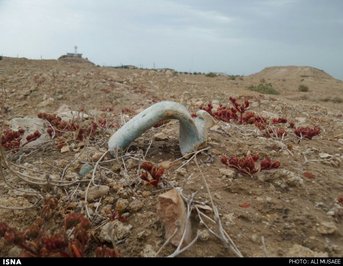 اشیای تاریخی در بندر «بتانه» شبیه ارواح سرگردانند 