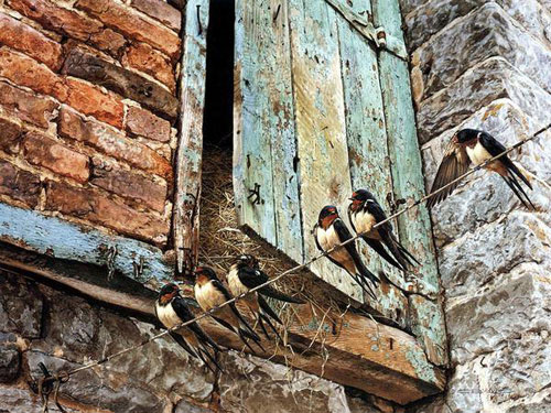 هنر نقاشی