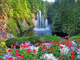 زیباترین باغ دنیا / گزارش تصویری