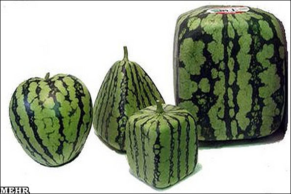 مکعب گران قیمت