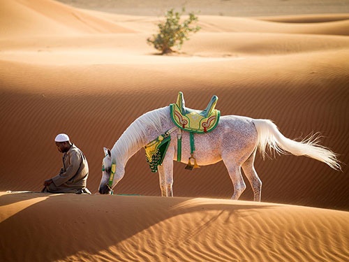 طلوع آفتاب با همراه آرام در صحرا/عکس روز نشنال جئوگرافیک