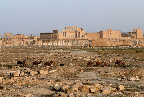 ارتش سوریه عقب‌نشینی کرد/ سقوط کل منطقه باستانی پالمیرا به دست داعش+تصاویر