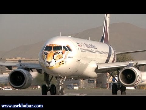 نقش یوزپلنگ ایرانی بر روی هواپیما+عکس
