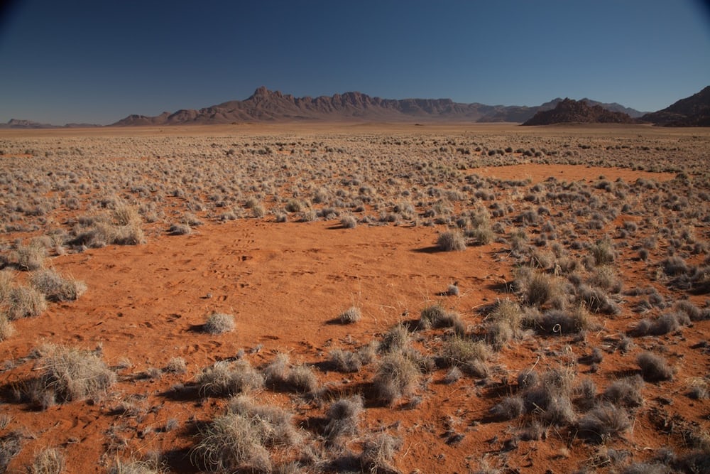 کشف راز حلقه‌های مرموز صحرای نامیب+ تصاویر