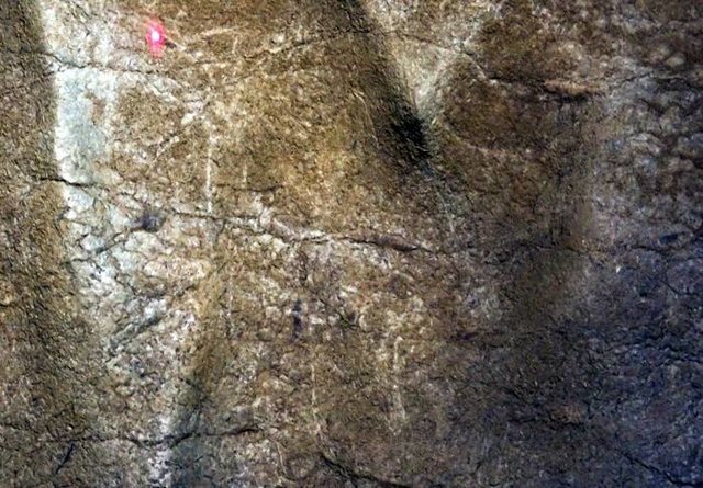 کشف نقاشی های 14 هزار ساله از حیوانات+تصاویر