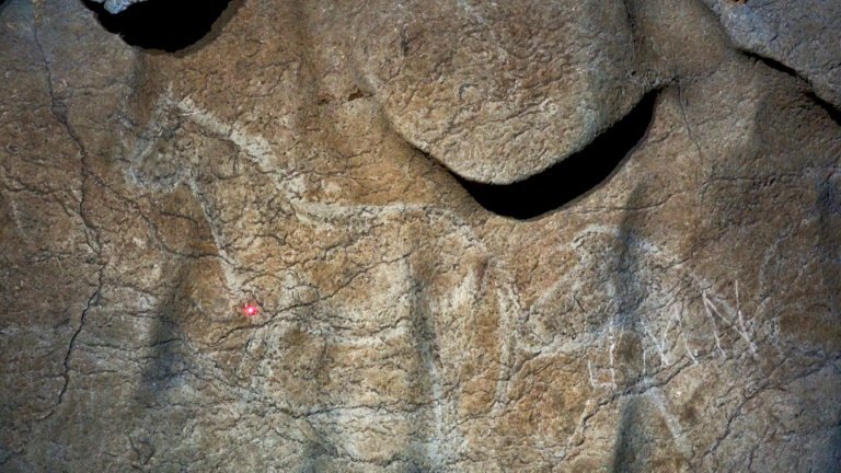 کشف نقاشی های 14 هزار ساله از حیوانات+تصاویر