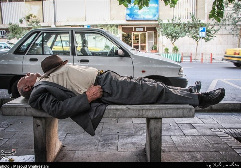 عکس/ آرامش در حضور دیگران!