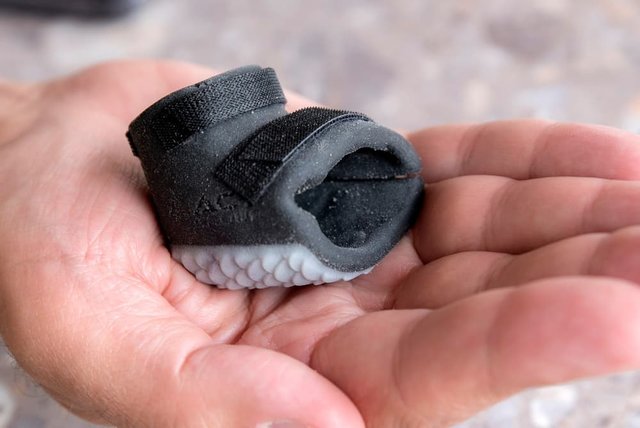 ساخت کفش برای پنگوئن معلول+تصاویر