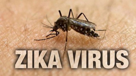موارد جدید آلودگی به ویروس زیکا در آمریکا