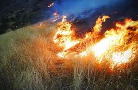 مهار 86 آتش‌سوزی درعرصه‌های منابع طبیعی گلستان