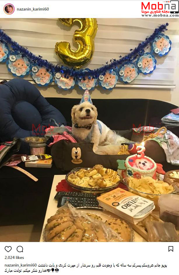 جشن تولد لاکچری و پرهزینه نازنین کریمی برای سگش! (عکس)