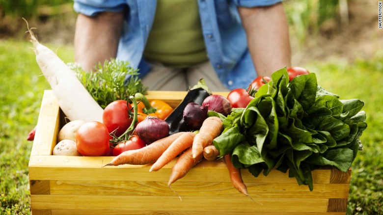 معرفی ۱۰ ماده غذایی که به حفظ سلامت قلب شما کمک می کنند