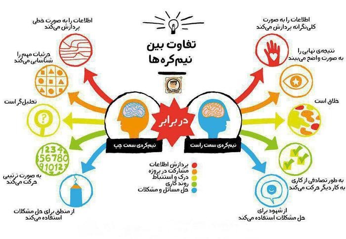 تفاوت نیم‌کره‌ها درچیست؟+تصویر