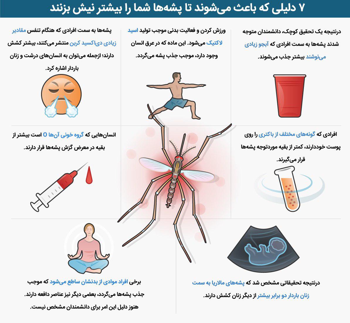 ۷ دلیلی که پشه‌ها در تابستان شما را بیشتر نیش می‌زنند+اینفوگرافیک