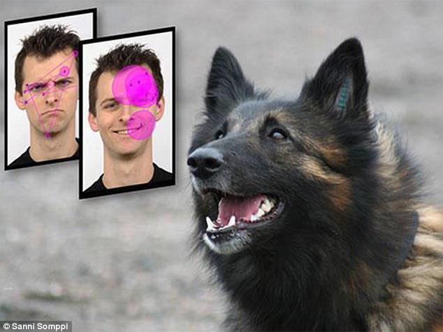 چرا سگ‌ها به چهره‌های خندان علاقمند هستند؟+تصاویر