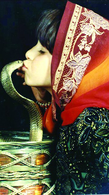 ملکه مار ایران کیست؟/دختری که ۱۱ بار زبان مار کبرا را بوسیده+ عکس