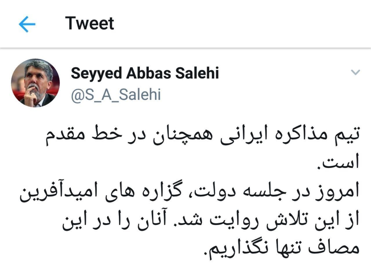 توییت صالحی درباره اقدامات امیدآفرین تیم مذاکره‌کننده ایران/ عکس