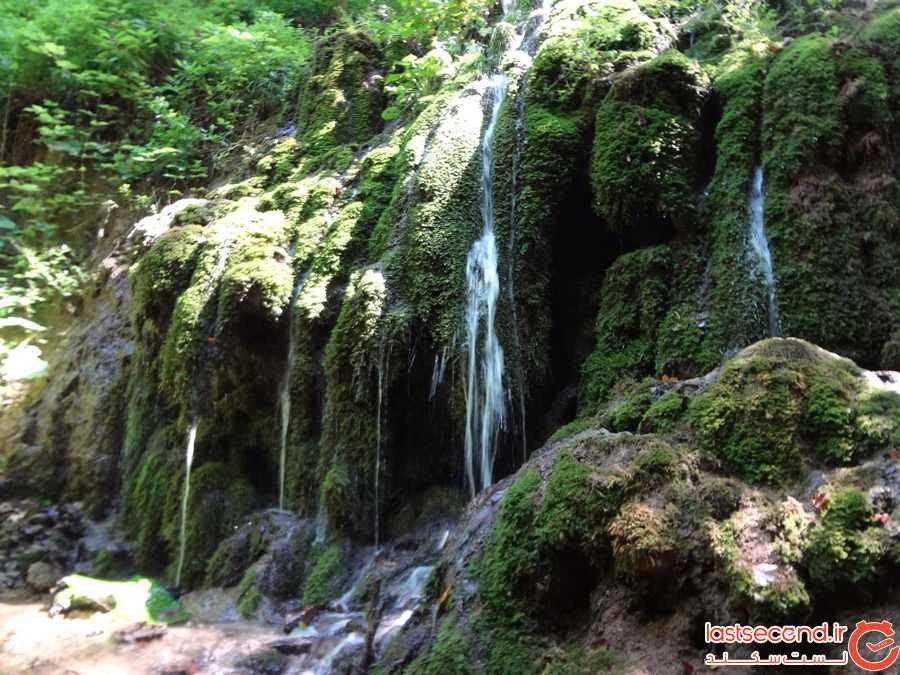 آبشار اوبن، آبشاری در میان درختان سر به فلک کشیده + تصاویر