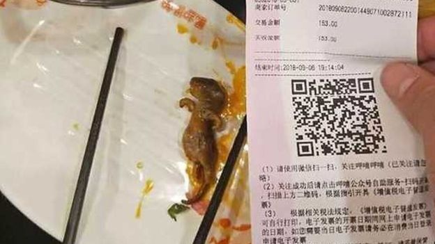 موش مرده در سوپ، ۱۹۰میلیون دلار به رستوران ضرر زد+تصاویر