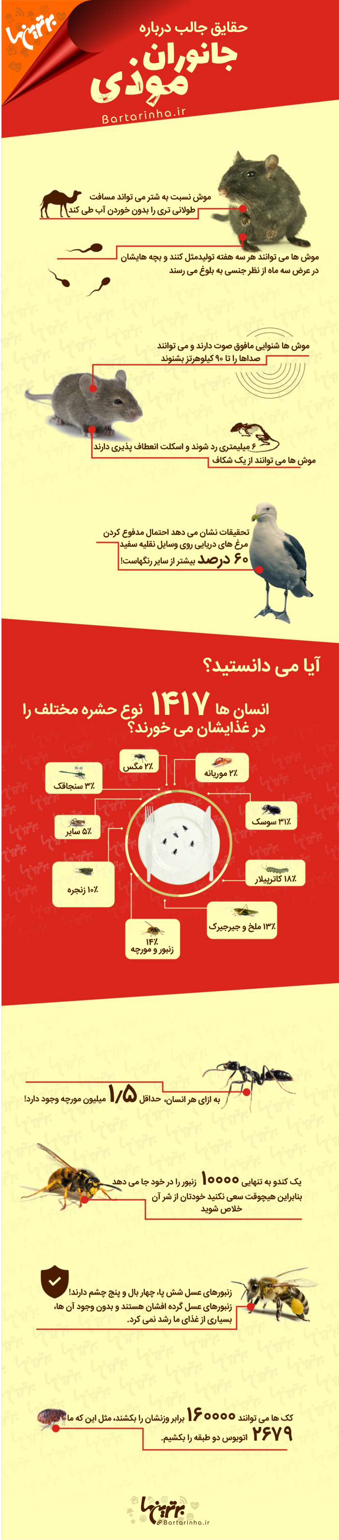 جالب‌ترین حقایق درباره جانوران موذی که نمی‌دانستید!+ اینفوگرافیک