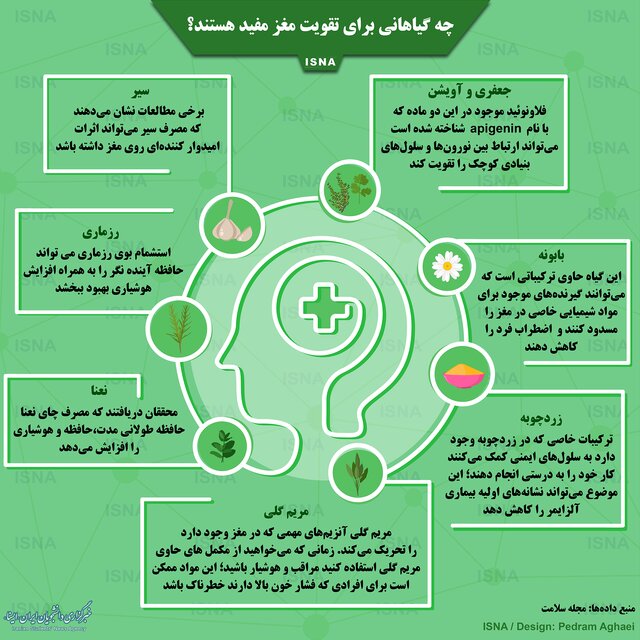 اینفوگرافی / گیاهانی که برای تقویت مغز مفید هستند