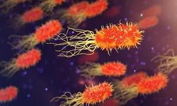 5 روش طبیعی برای مبارزه با عفونت‌های باکتریایی
