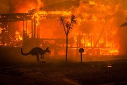 دلیل آتش‌سوزی‌های استرالیا چیست؟