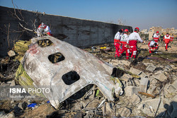 تشکیل کمیسیون ویژه برای بررسی علت سقوط هواپیما/ ظریف درباره اقدام سفیر انگلیس توضیح می‌دهد