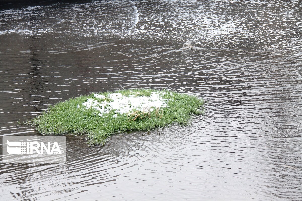 موج شادمانی در تالاب جازموریان