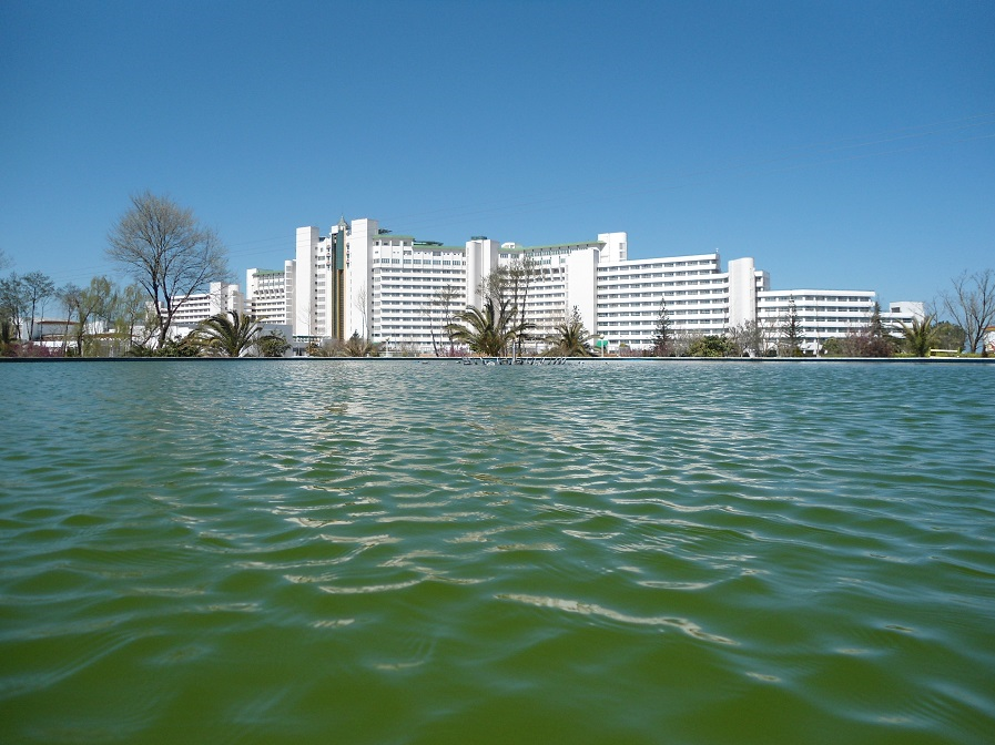 سفر روحانی به مازندران؟ سفر روحانی به مازندران؟