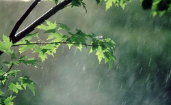 بارش باران و وزش باد شدید در راه مازندران