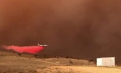آتش سوزی به پایتخت استرالیا رسید؛ آسمان کانبرا قرمز شد