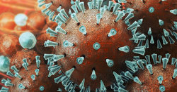 ویروسی که از کرونا ترسناک‌تر است!
