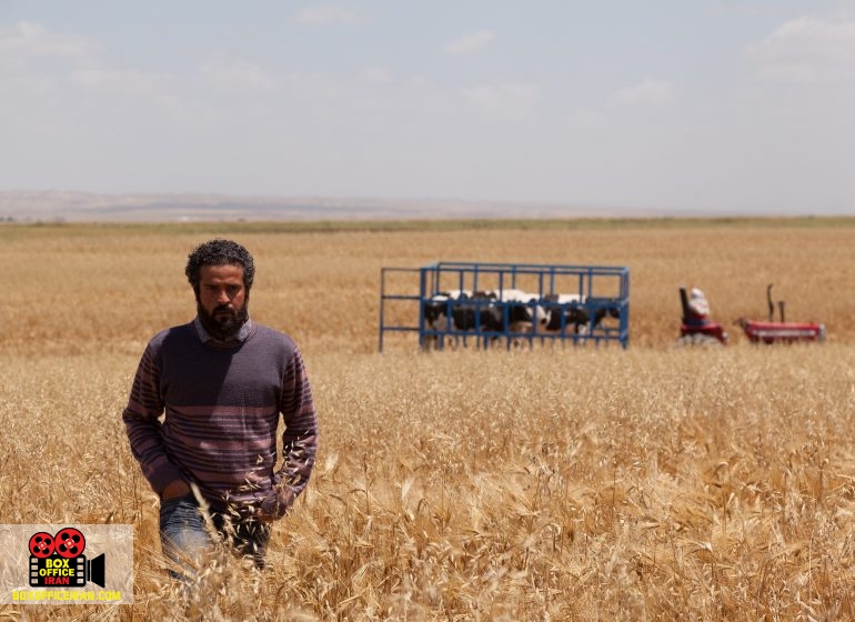 چکمه های گرفتار در گل و لای چکمه های گرفتار در گل و لای