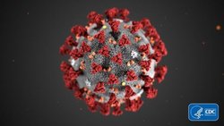 کروناویروسِ جدید، ۹ روز روی سطوح آلوده باقی می‌ماند