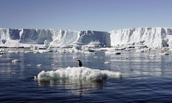 دمای هوا در قطب جنوب برای اولین بار به بالای ۲۰ درجه رسید