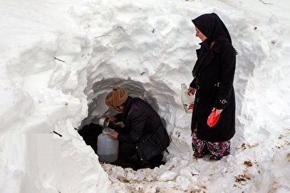 تصاویر| زندگی پس از برف در جنگلهای سیاهکل