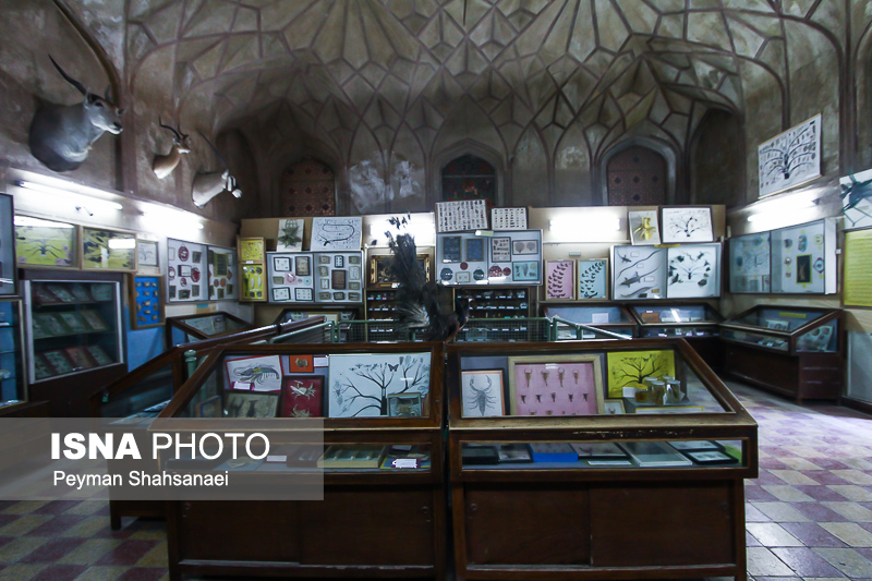 تأملی در تصمیمات تازه برای تالار تیموری تأملی در تصمیمات تازه برای تالار تیموری