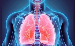 6 راهکار‌ تقویت دستگاه تنفسی برای مقابله با کرونا