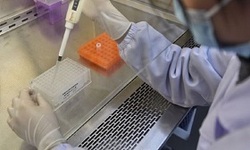 دانشمندان چینی 2 نوع ویروس کرونا کشف کردند