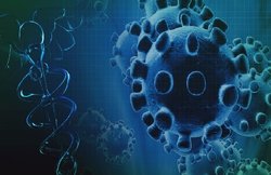 تکثیر ویروس کرونا موجب تولید فرم‌های جدید می شود/ دلایل علمی برای نرفتن به مسافرت