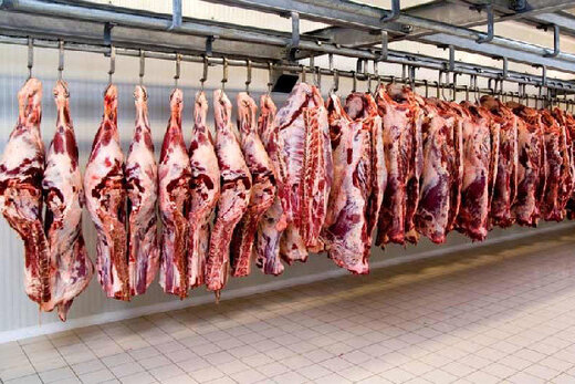 20 هزار تن گوشت قرمز به بازار عرضه می شود