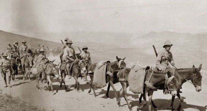 پایان زندگی؛ آخرین فصل از کتاب قاجارها