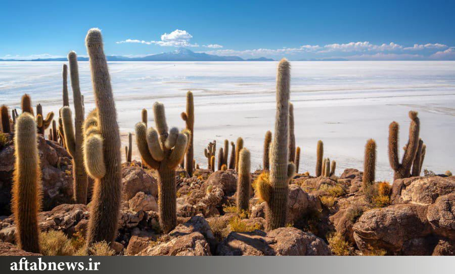 ۱۹ مقصد جهانی برای سفرهای تابستانی+عکس ۱۹ مقصد جهانی برای سفرهای تابستانی+عکس