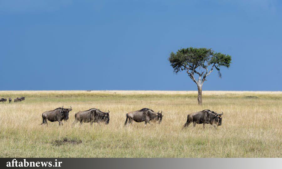 ۱۹ مقصد جهانی برای سفرهای تابستانی+عکس ۱۹ مقصد جهانی برای سفرهای تابستانی+عکس