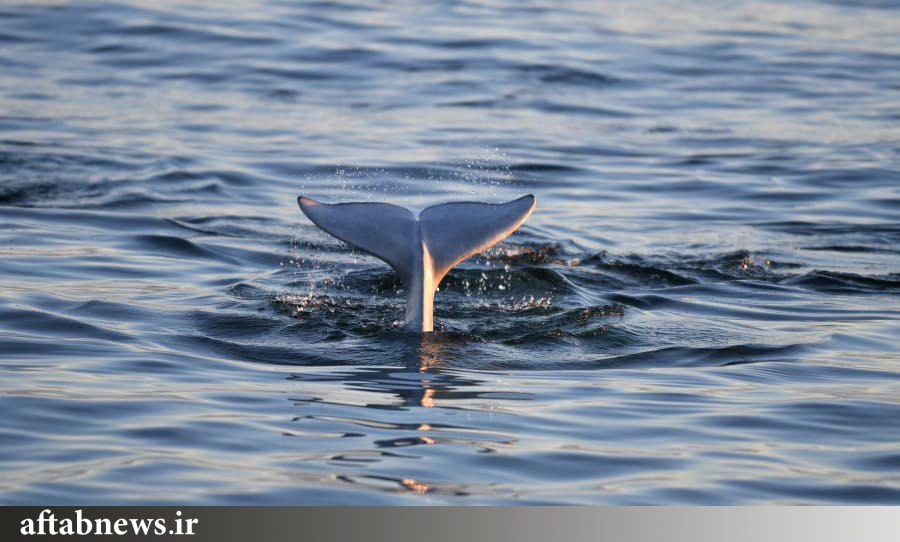 ۱۹ مقصد جهانی برای سفرهای تابستانی+عکس ۱۹ مقصد جهانی برای سفرهای تابستانی+عکس