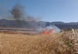 آتش سوزی مزارع گیلانغرب را فرا گرفت